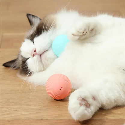 PawSphere™ - Premium Interactive Ball for Pets
