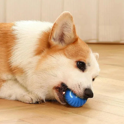 PawSphere™ - Premium Interactive Ball for Pets