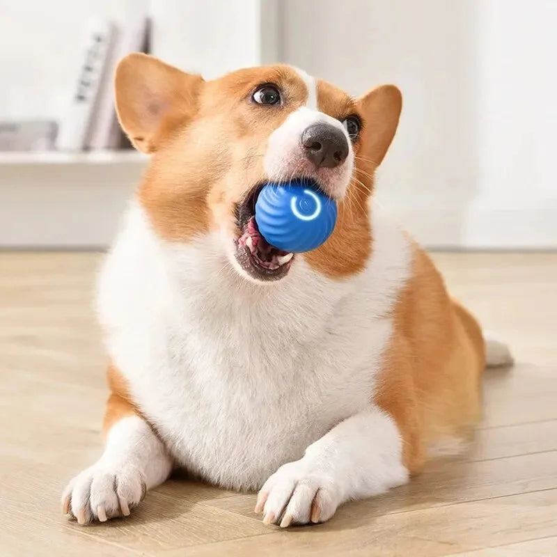 PawSphere™ - Premium Interactive Ball for Pets