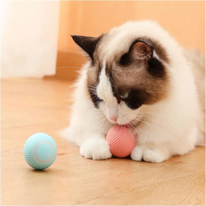 PawSphere™ - Premium Interactive Ball for Pets
